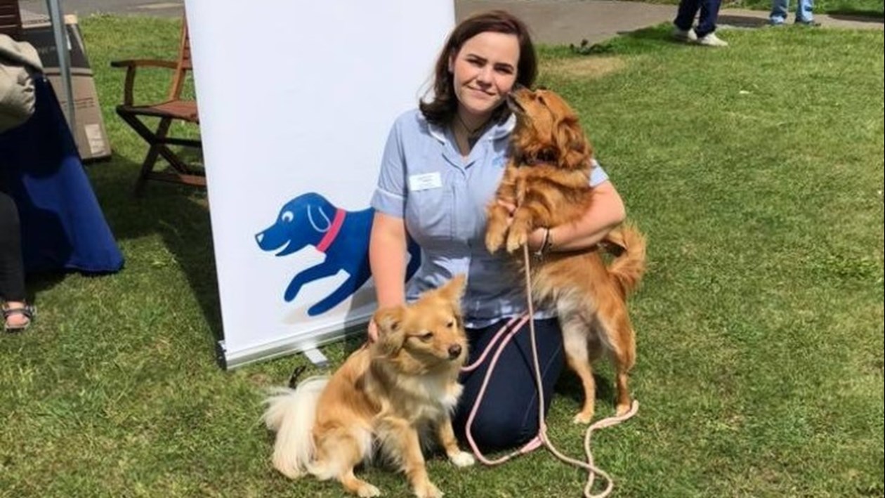 Medivet Enfield Great Cambridge Rd Enfield Vet Vet UK