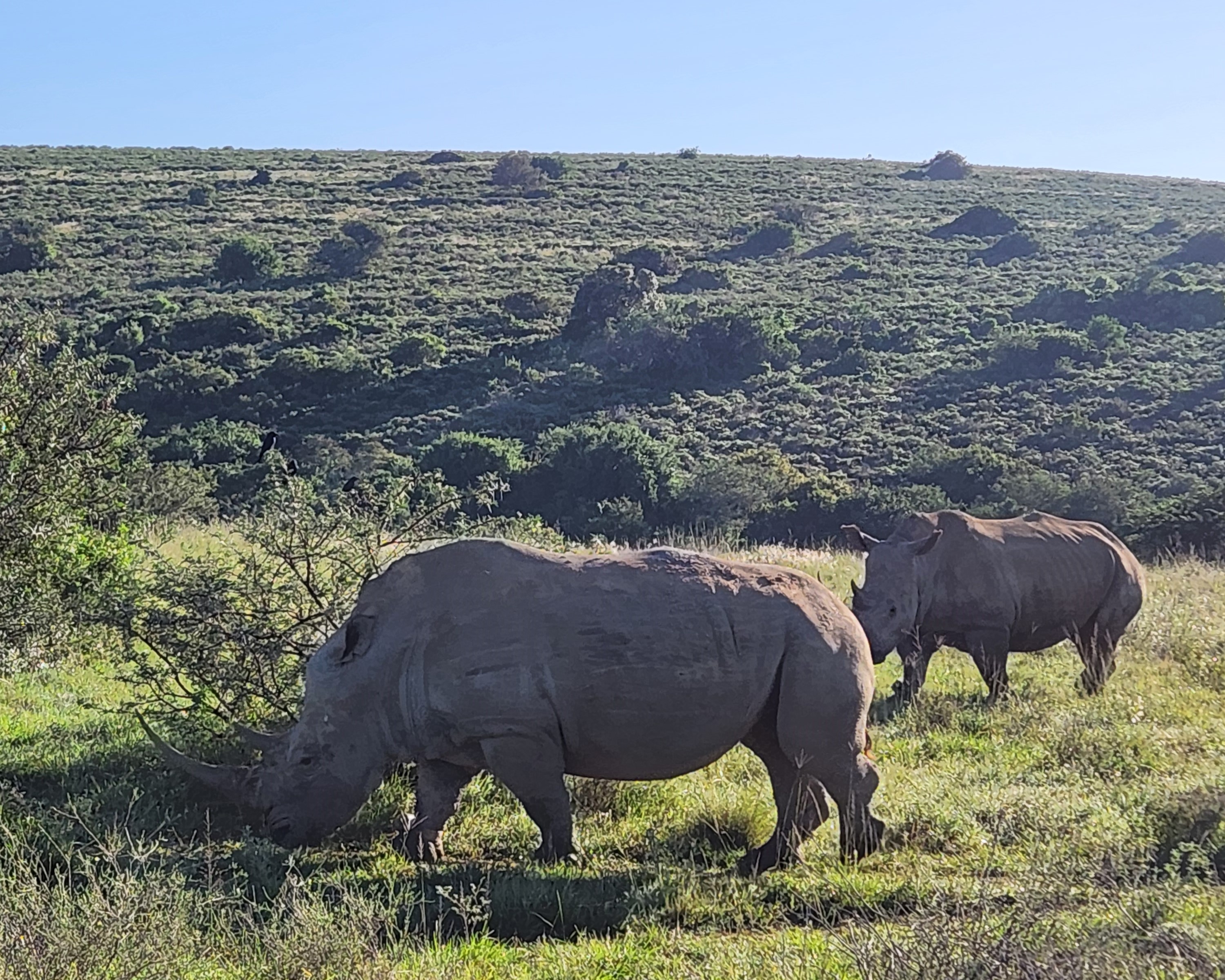 20240512_084158 (1).jpg