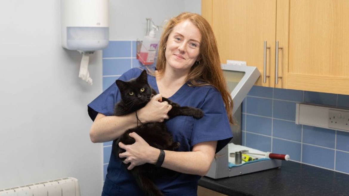 How Medivet 24 Hour Enfield is Helping Save Older Cats With a Common