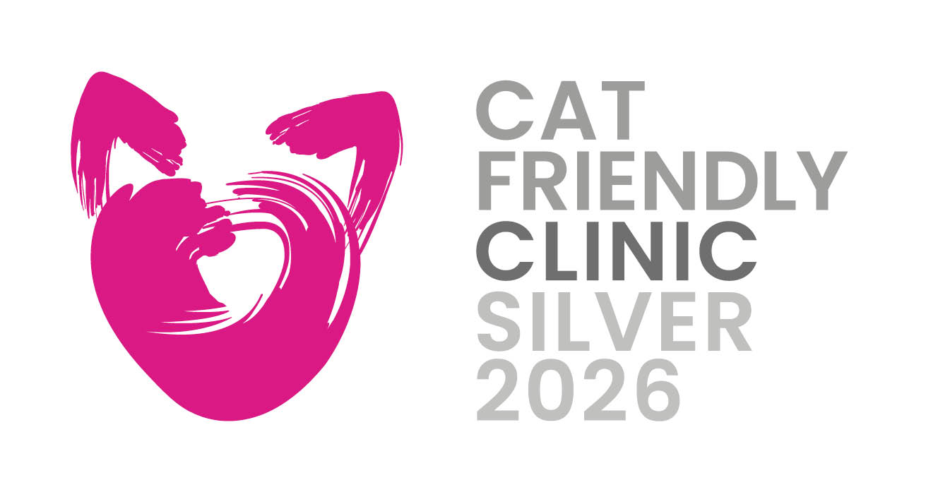 RCVS accredited practice