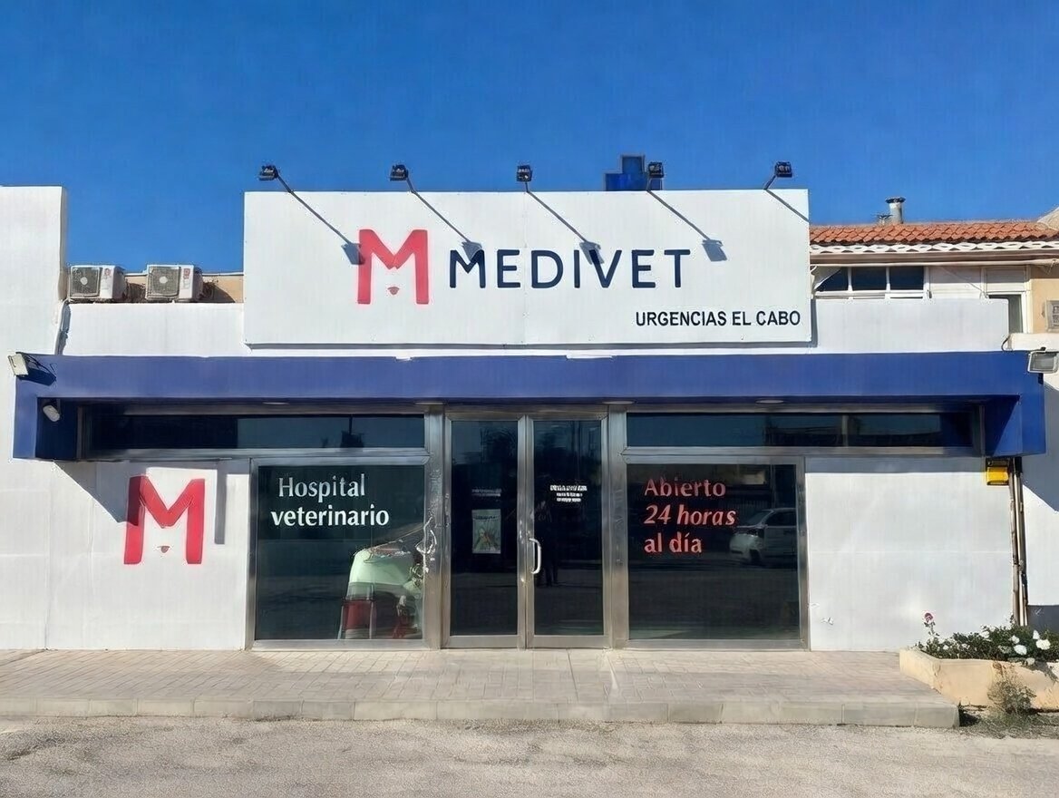 exterior-medivet-el-cabo.jpeg
