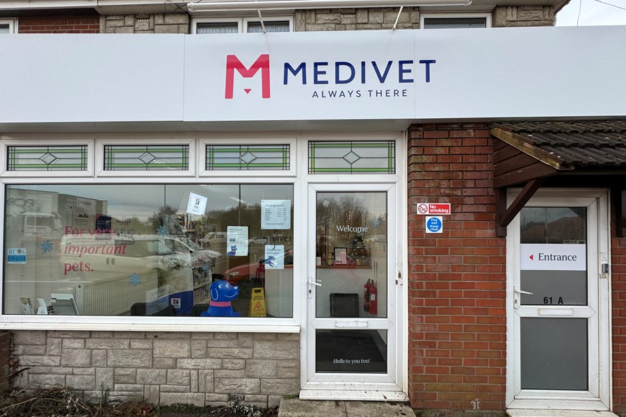 Medivet Hellesdon Hellesdon Vets Vet UK