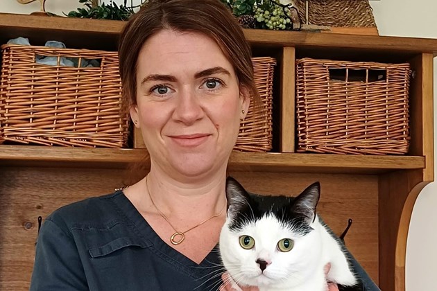 Vet In Lurgan Open Saturdays Medivet vet-in-lurgan-open-saturdays-medivet