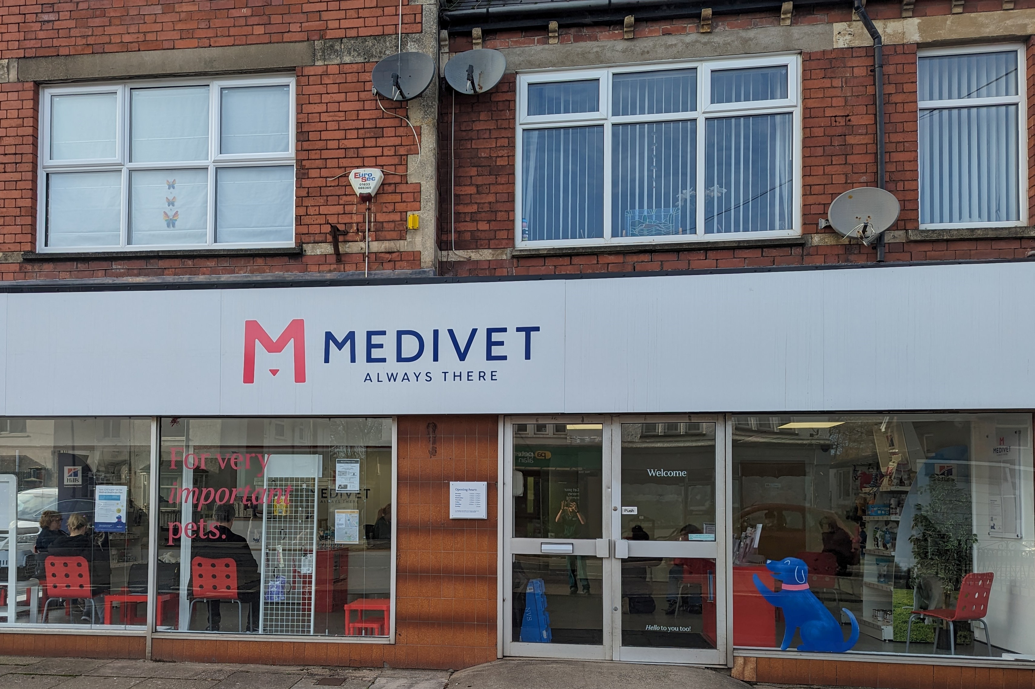 Medivet Dinas Powys Dinas Powys Vets Vet UK