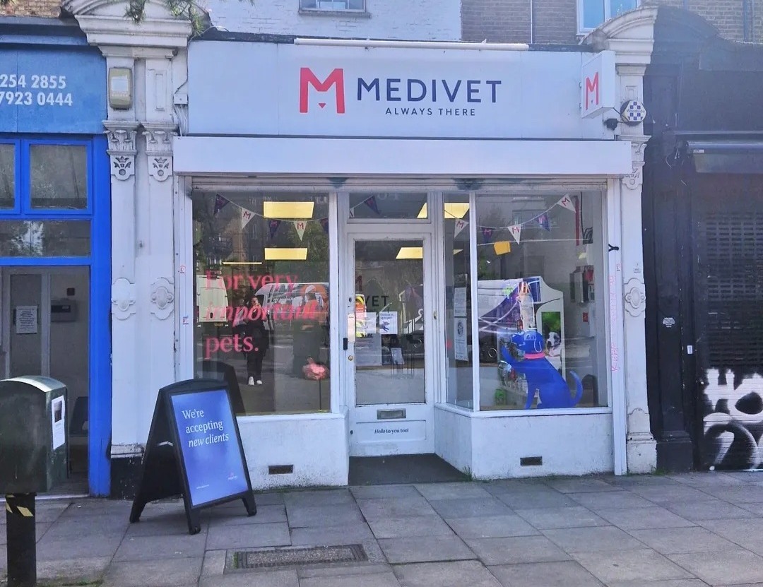 Medivet Dalston, vet in Hackney E8