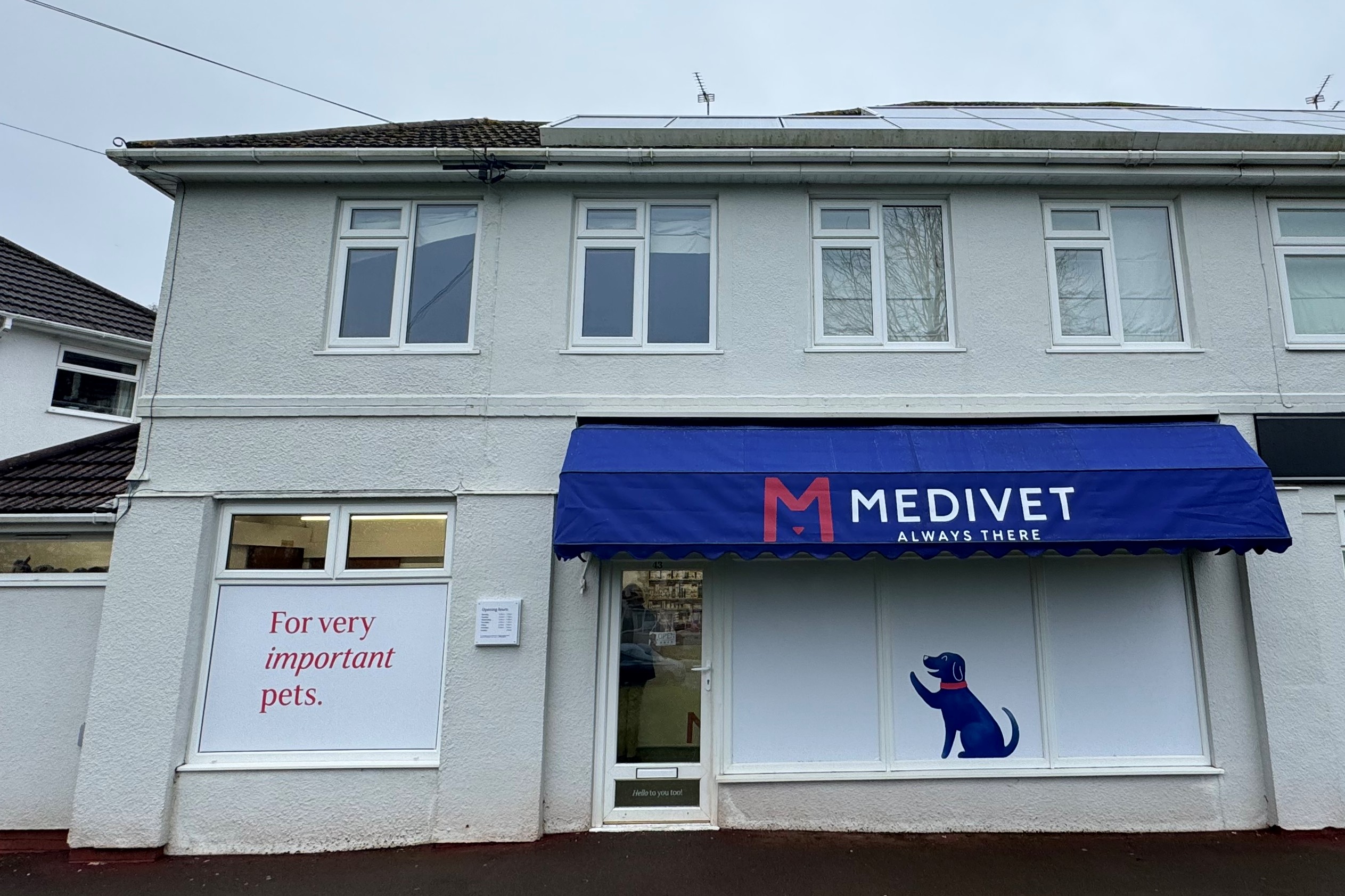 Medivet Torquay Moor Ln