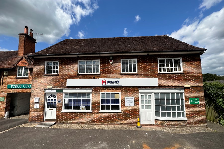 Medivet Yateley Yateley Vets Vet UK