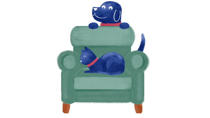 Dog-armchair-illustration-new.jpg