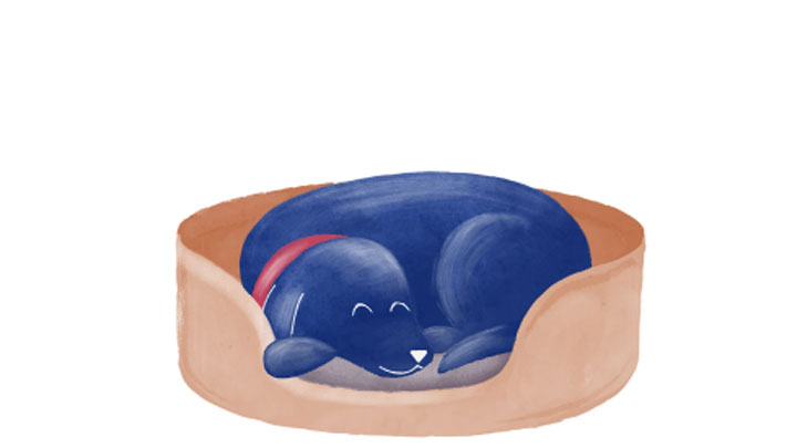 Dog-sleeping-illustration-new.jpg