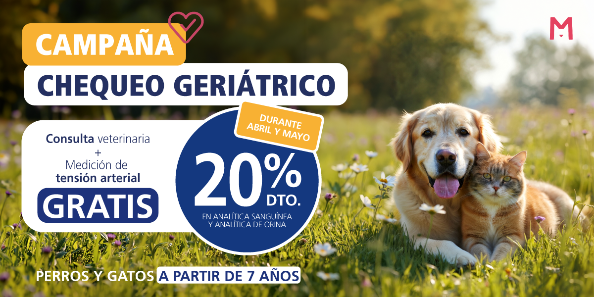 banner_chequeogeriatrico_abril_mayo26_google_castellano.png