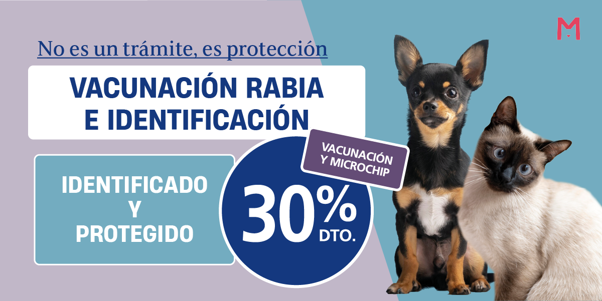 RabiaMicrochi_Junio2026_Banner_Castellano.png