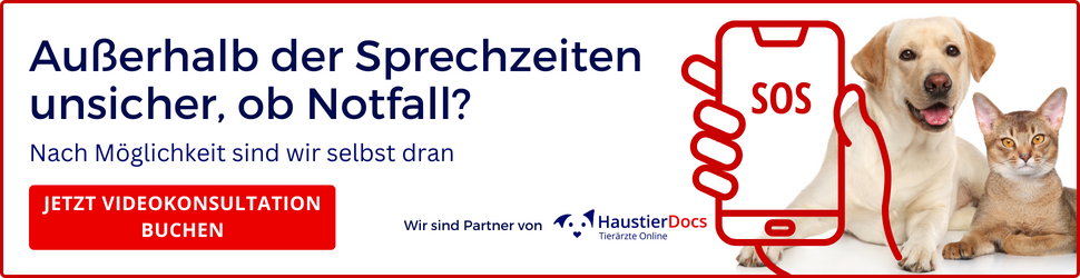 Notdienst_HaustierDocs_970x250_V3.png