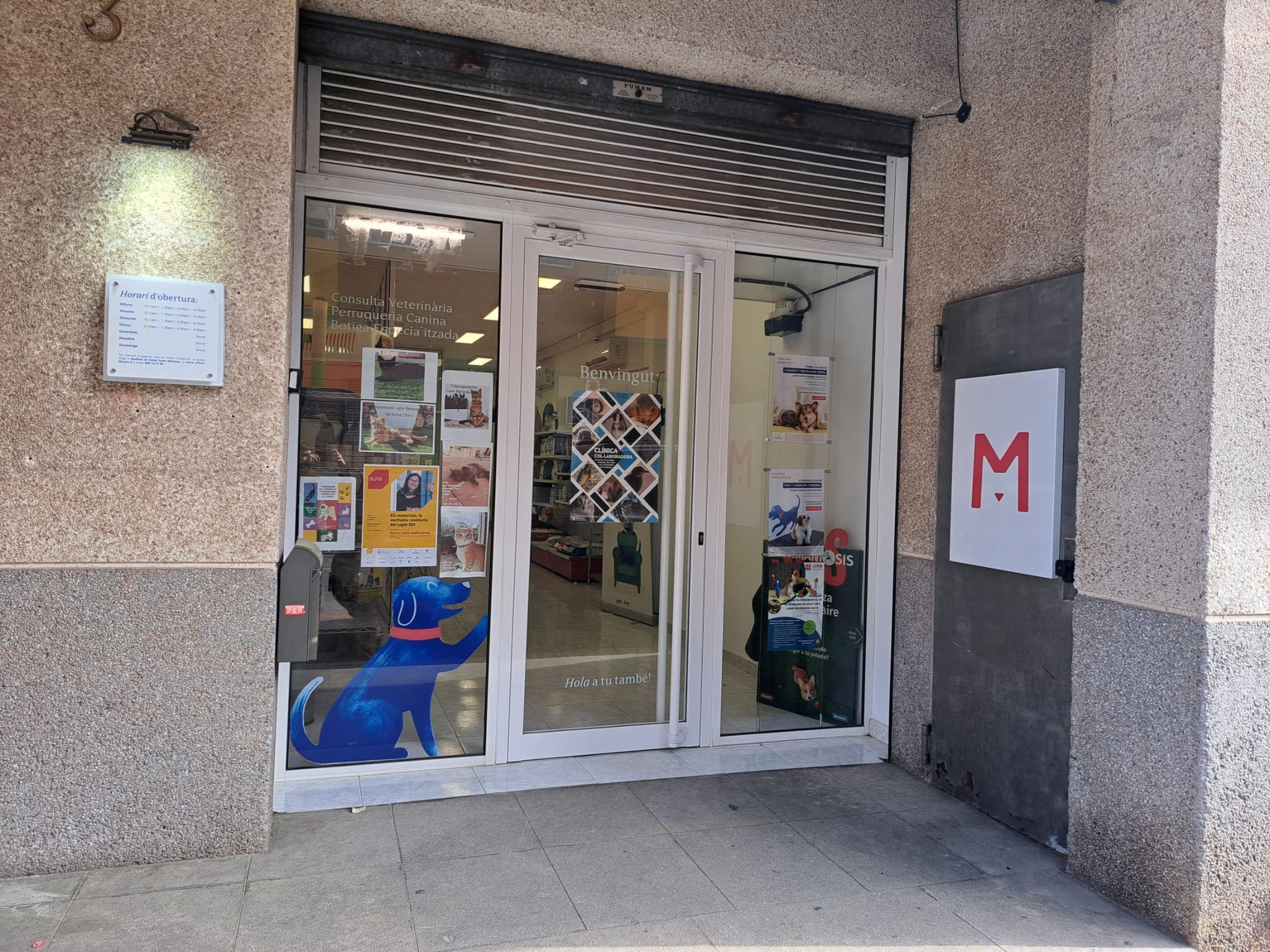 Imagen de WhatsApp 2025-03-17 a las 10.20.15_195be689.jpg