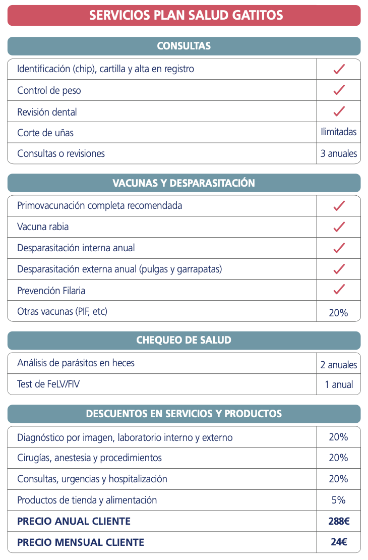 Planes de salud para gatitos