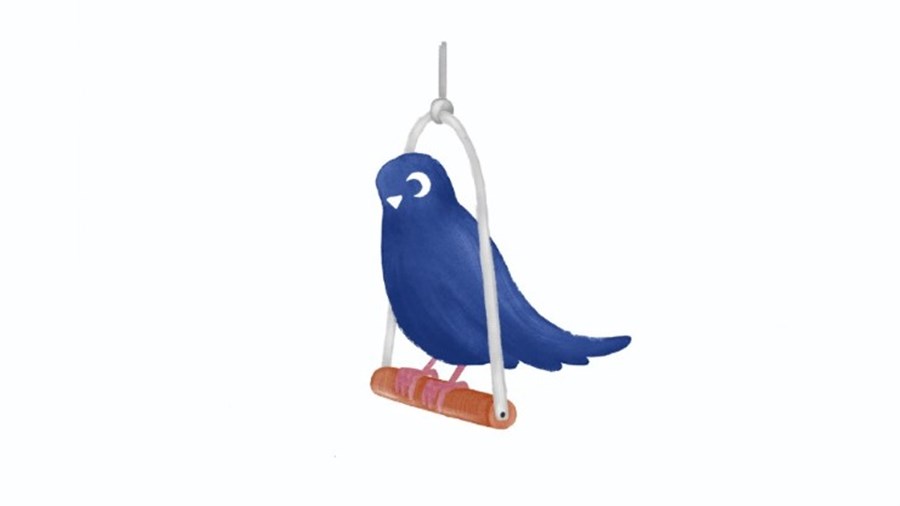 Medivet Thorpe Bay Shoebury Rd Thorpe Bay Vet Vet UK