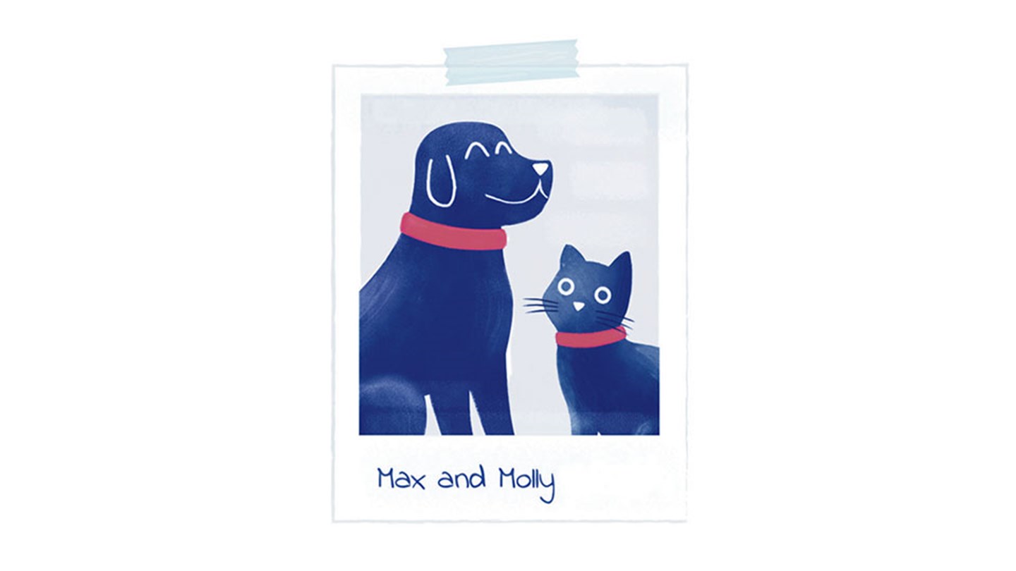 View of Grooming Your Pet for Cold Weather | Winter Grooming Tips | Medivet