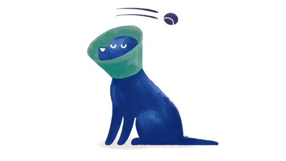Illustration of a dog wearing cone