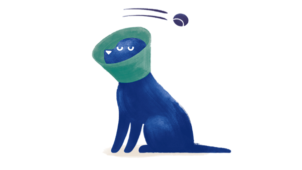 Illustration of a dog wearing cone