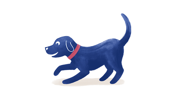 Dog playing