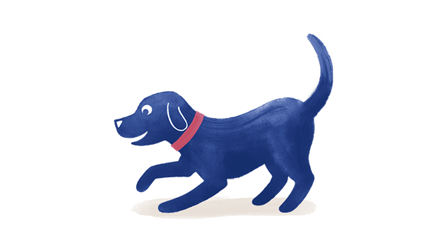 Dog playing