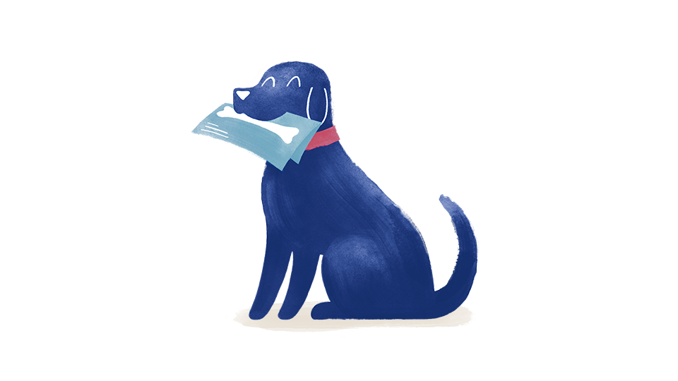 Pet Xrays XRays for Dogs & Cats Medivet