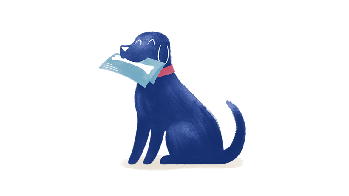 Pet Xrays XRays for Dogs & Cats Medivet