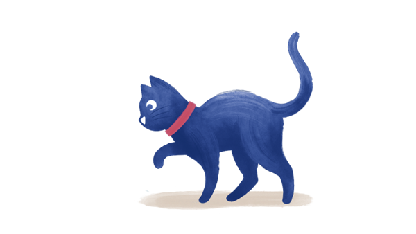Cat walking