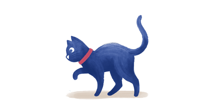Cat walking