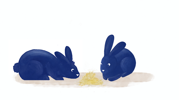Rabbits in hay