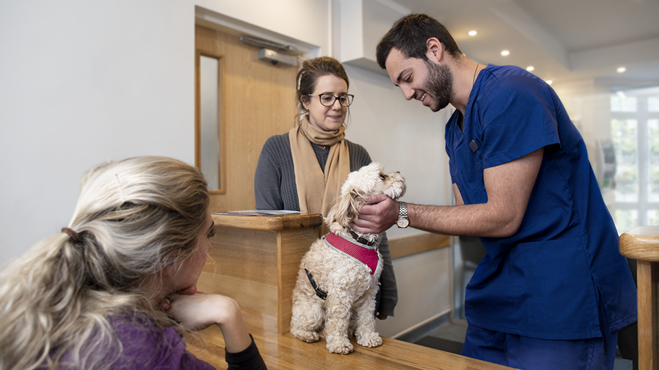 Reproducción Asistida