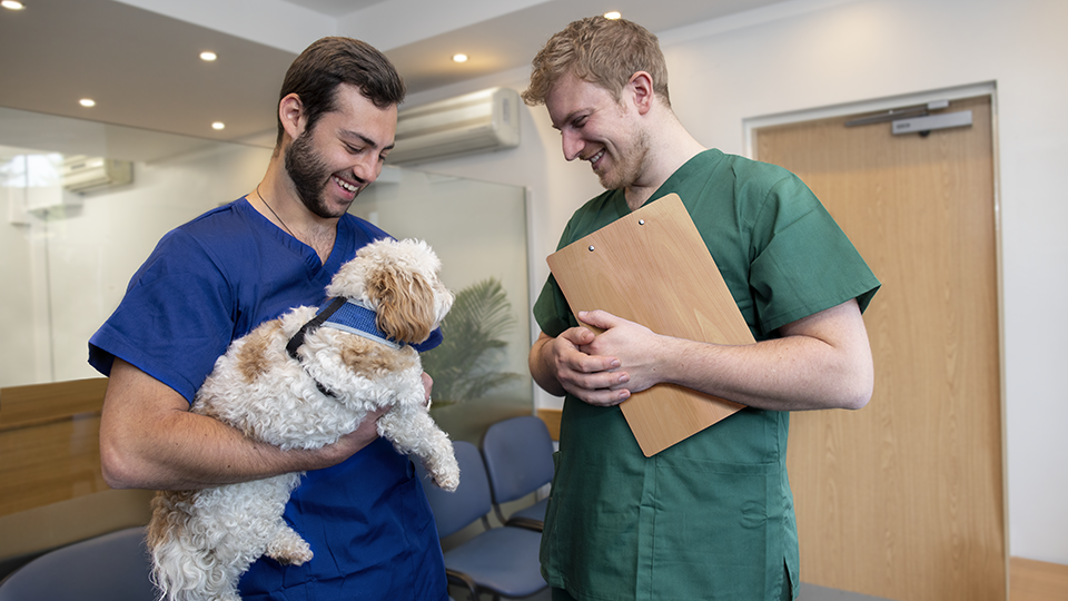 Quirófano ortopédico