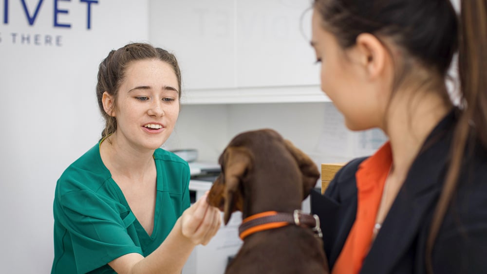 Electroquimioterapia