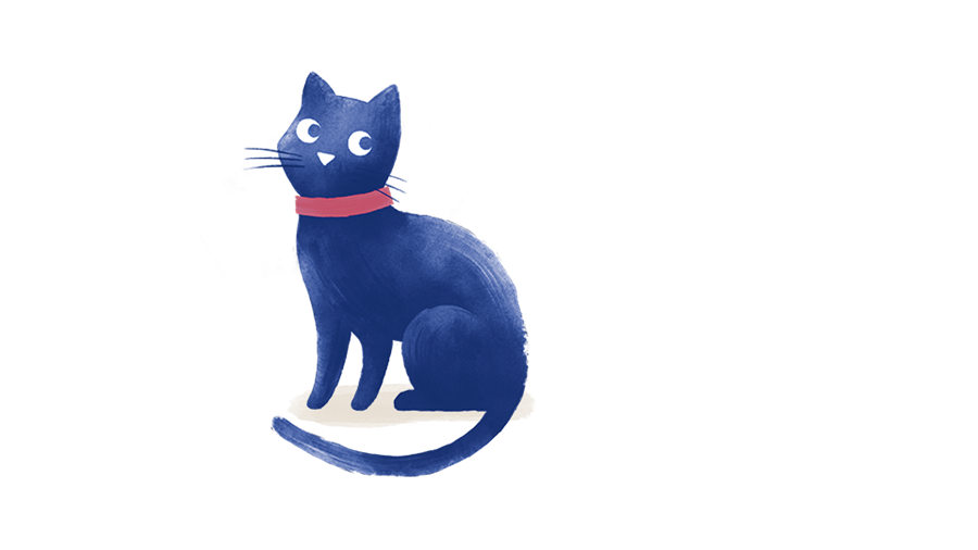 Medivet Thorpe Bay Lifstan Way Thorpe Bay Vet Vet UK