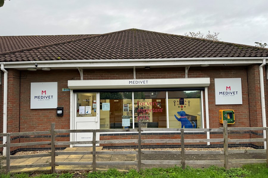 Medivet Welton Welton Vets Vet UK