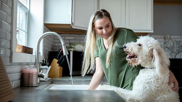 Woman washing in kitchen with dog