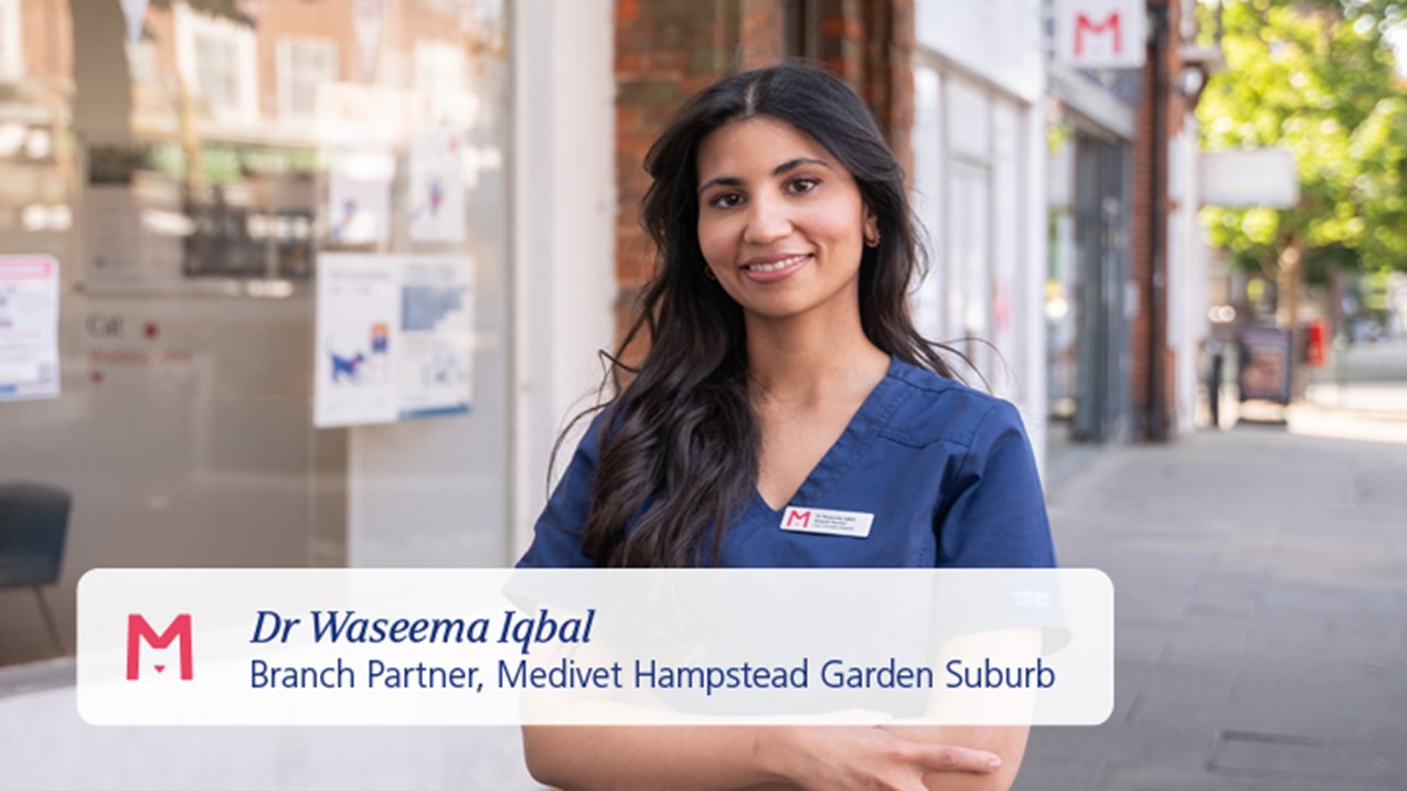 Waseena Api Waseema's Story