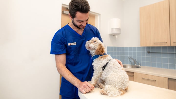 gland expression 2.jpg